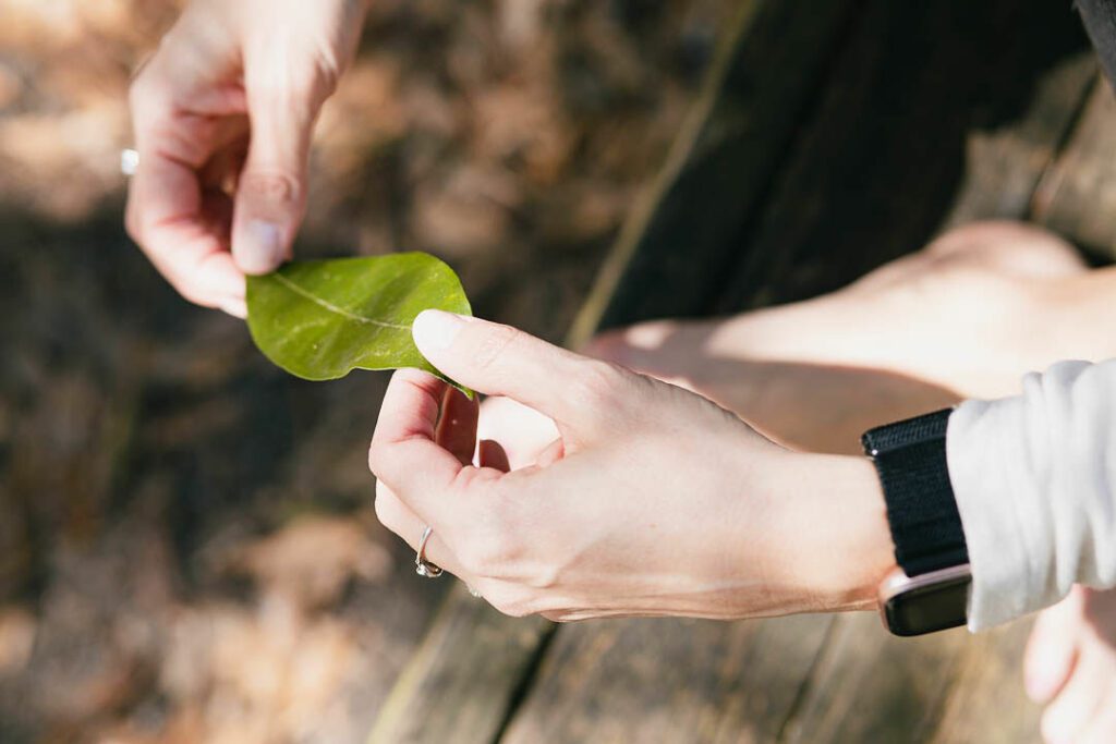 woman holding a green leaf health benefits of interacting with nature Evoke Wellness Wilmington, NC